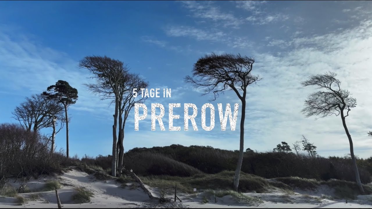 Urwald, Weststrand, Prerowstrom...5 Tage auf dem Darß im Herbst