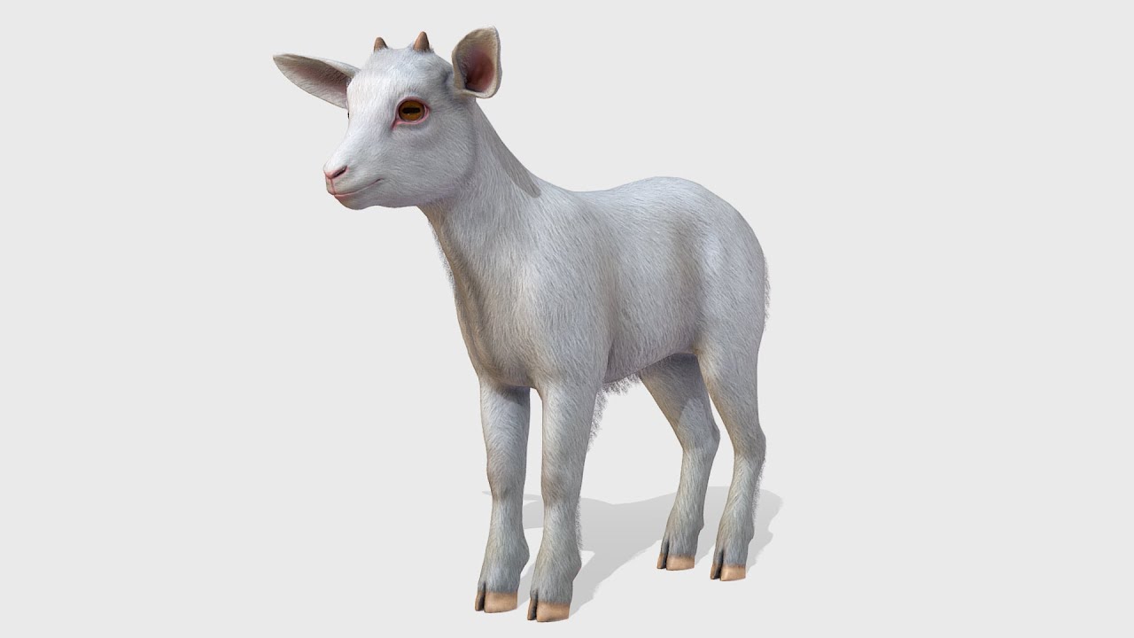 Goatling Animations