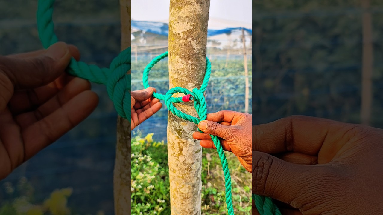 Popular Knot ,Easy, Quick and Reliable!