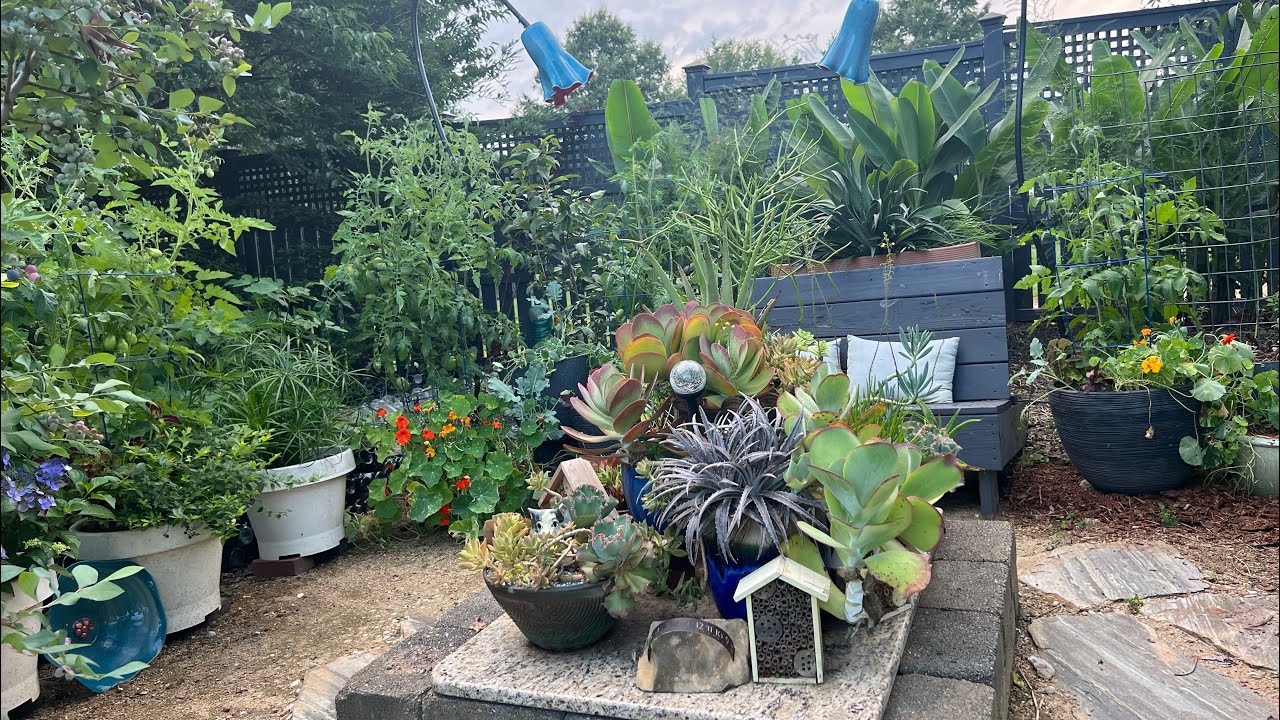 Weekly Garden Tour: succulent firepit