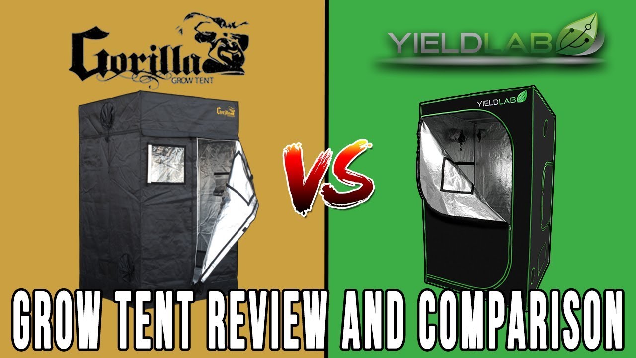 Gorilla Grow Tent Lite vs Yield Lab: Grow Tent Review and Comparison