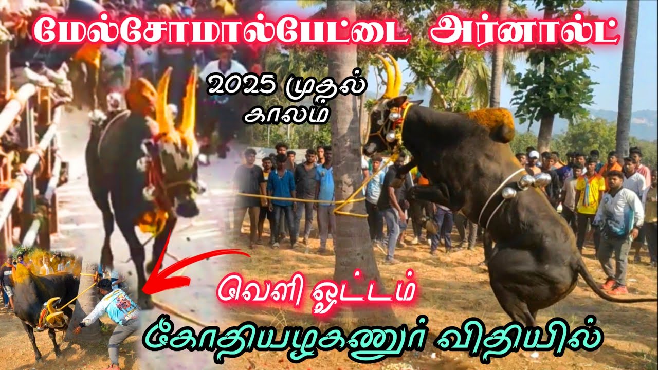 மேல்சோமால்பேட்டை அர்னால்டு 💥 வெளி ஓட்டம் 😱 கோதியழகணுர் விதியில் 7.79 sec