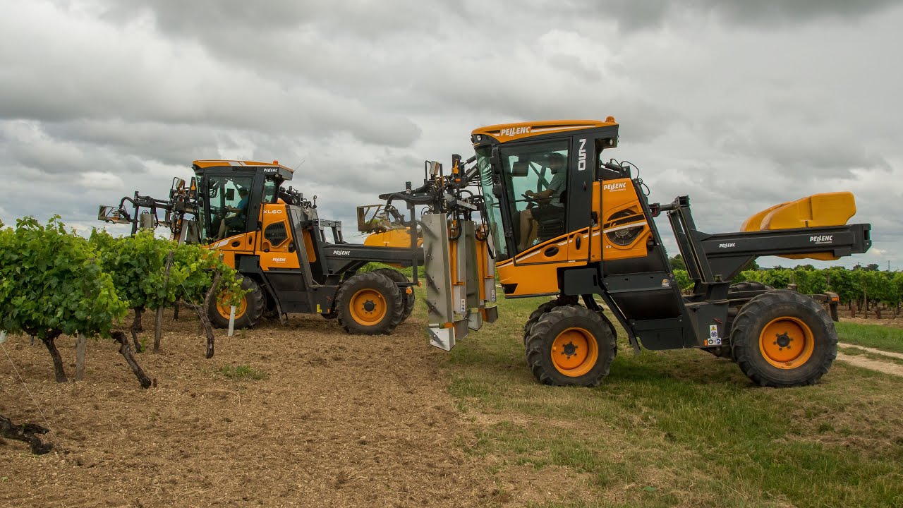 Faucillage de la vigne avec deux Pellenc - XL60 et 750