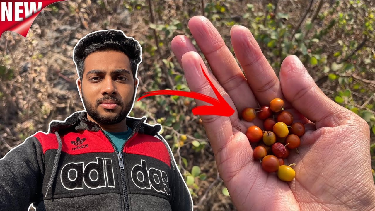 Ghar Se Jana Pada 😢 Daily Vlogs 