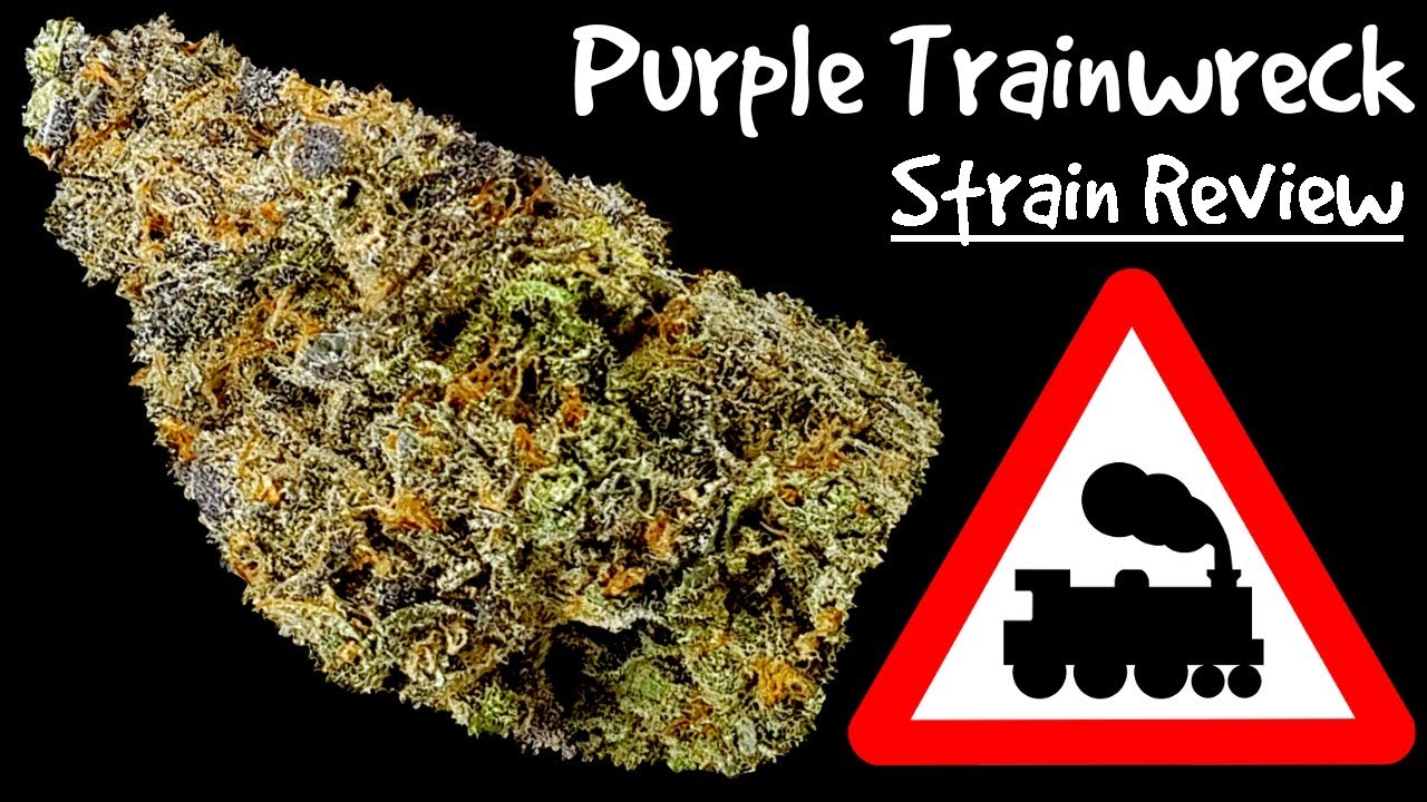 Purple Trainwreck OFFICIAL Strain Review