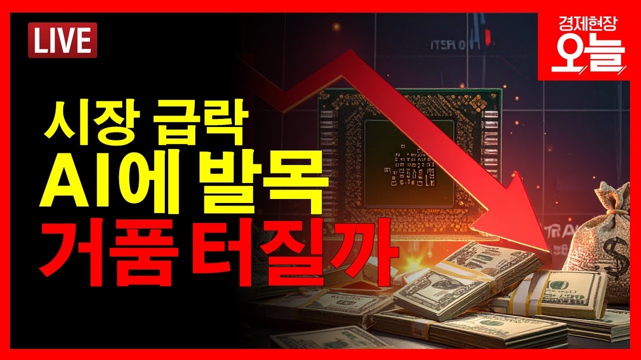 [경제현장 오늘 다시보기] 증시 흔드는 'AI 버블론'..투자해도 괜찮을까