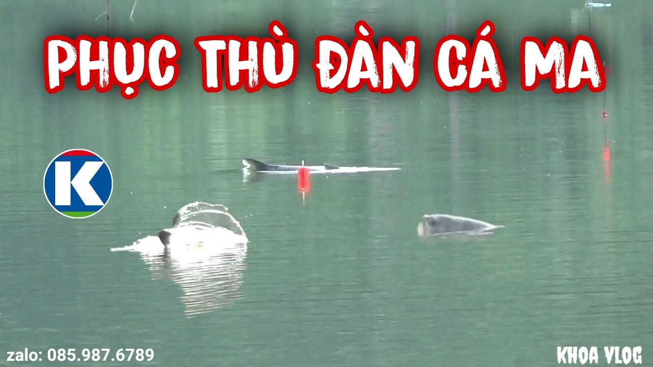 Câu Lục | Phục Thù Đàn Cá Ma Thành Công - Cá Toàn Ăn Lưỡi