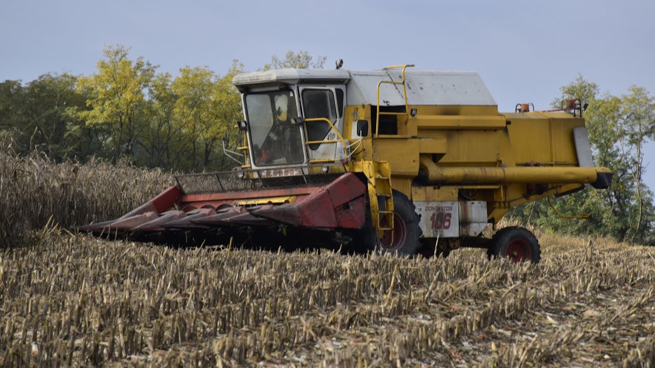 A vihar előtti csend - Kukorica aratás 1.rész