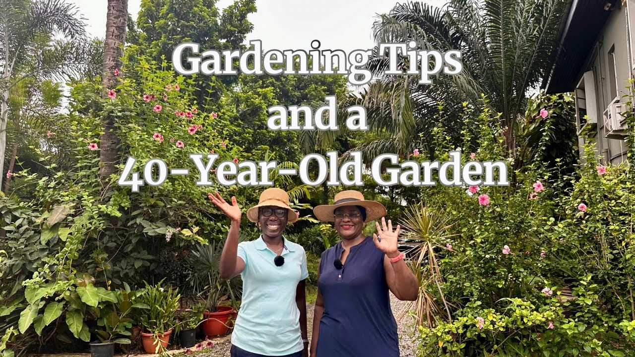 Gardening tips and a 40-year-old garden