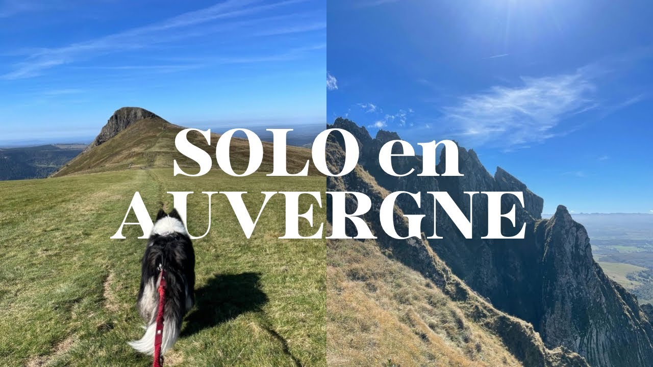 l’Auvergne en van 🚐 randos, sunset, mes chien & moi