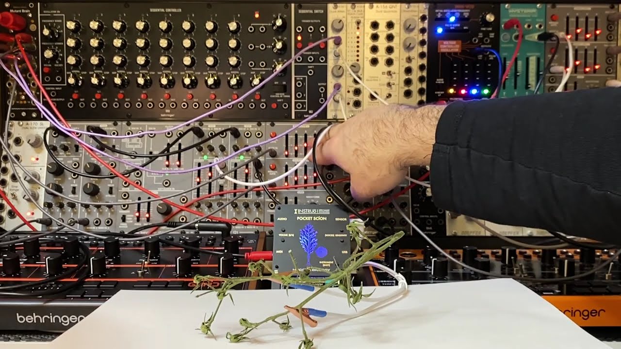 I turned a Cherry Tomato Branch into a Modular Synth... (Bio-Feedback Ambient)