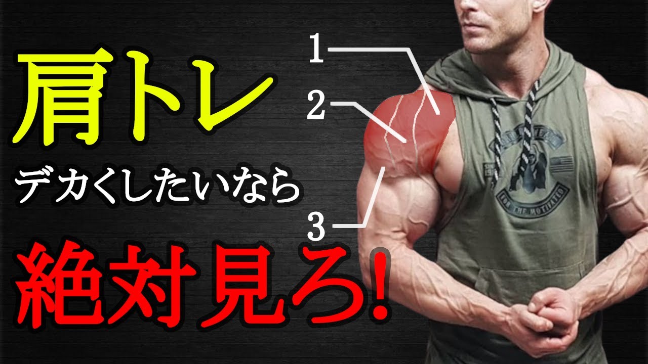 【肩トレ】劇的にデカくしたいならここを狙え！専門家や最新エビデンスに基づいた三角筋トレーニングを徹底解説！