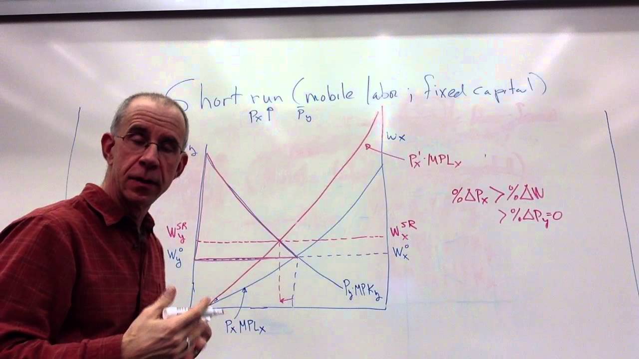 Real income effects with mobile labor and fixed capital (graphical version)