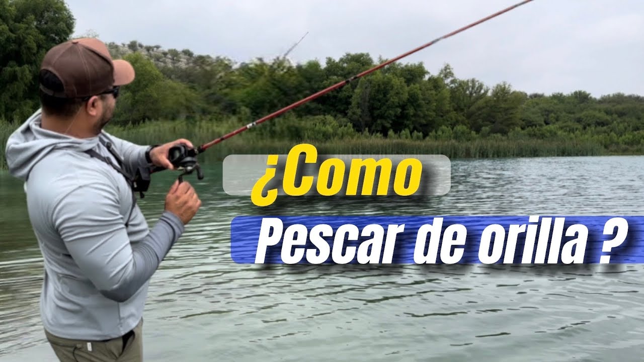Pesca de LOBINA de ORILLA: Consejos, Señuelos y Técnicas
