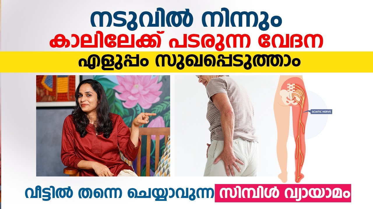 നടുവിൽ നിന്നും കാലിലേക്ക് പടരുന്ന വേദന എളുപ്പം സുഖപ്പെടുത്താം |Sciatica Stretches to Ease Nerve Pain