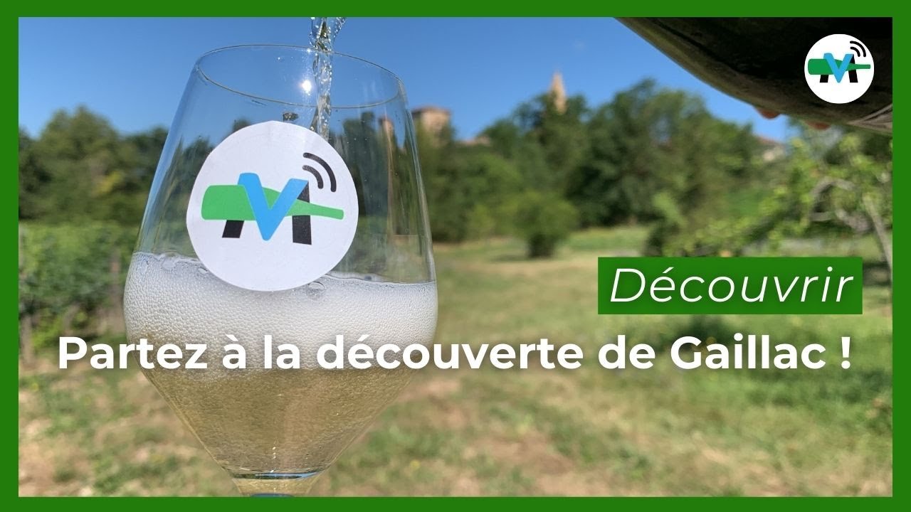 &Agrave; la d&eacute;couverte du vignoble de Gaillac !