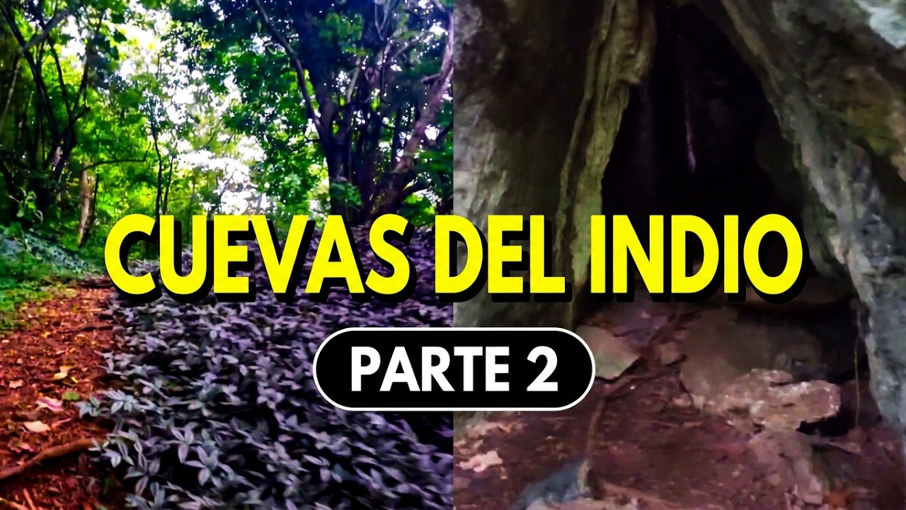 EN #CARACAS ESTÁN LAS CUEVAS DEL INDIO TE TRAIGO LA 2 PARTE DE ESTE #PARQUE ASI ES #VENEZUELA 2019