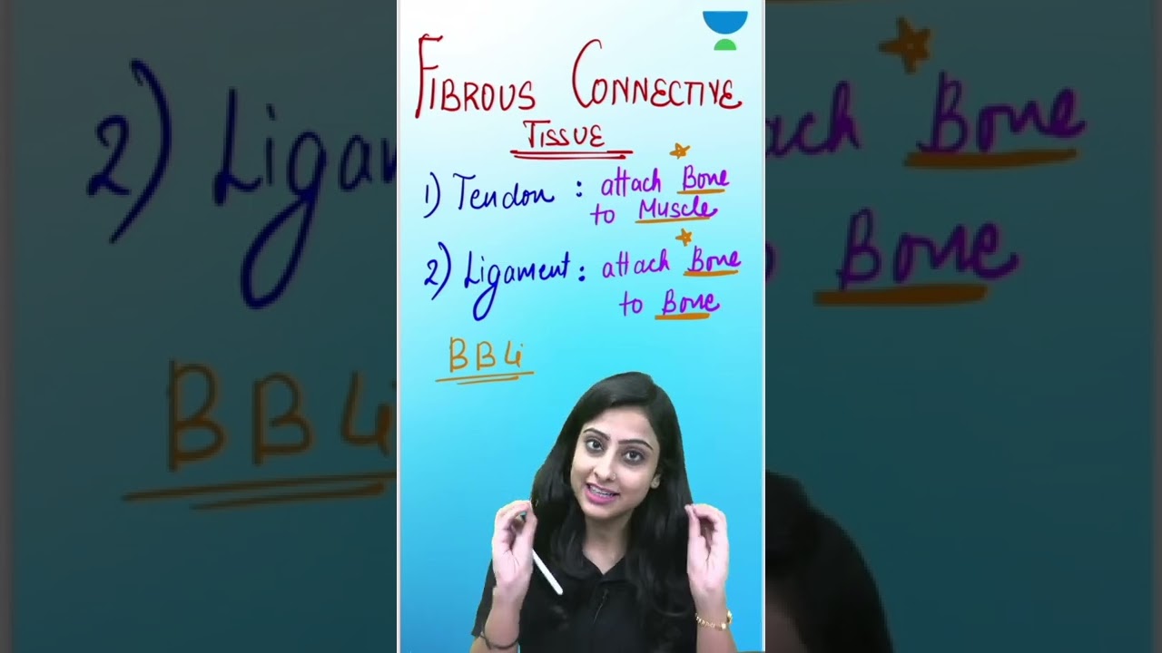 Functions of Tendon and ligament | No more confusion | Learn permanently  | Flash Learn