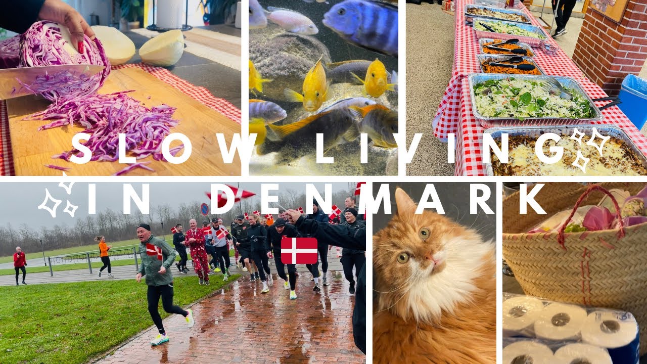 Life in motion: Walks, Hauls, Plants, Pets, Sauerkraut prep and a 300 half marathon celebration 