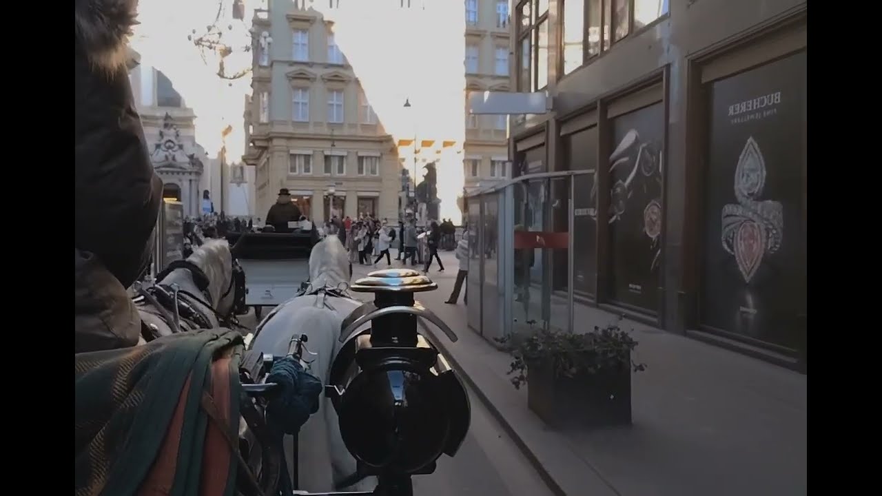 Carriage ride in Vienna 