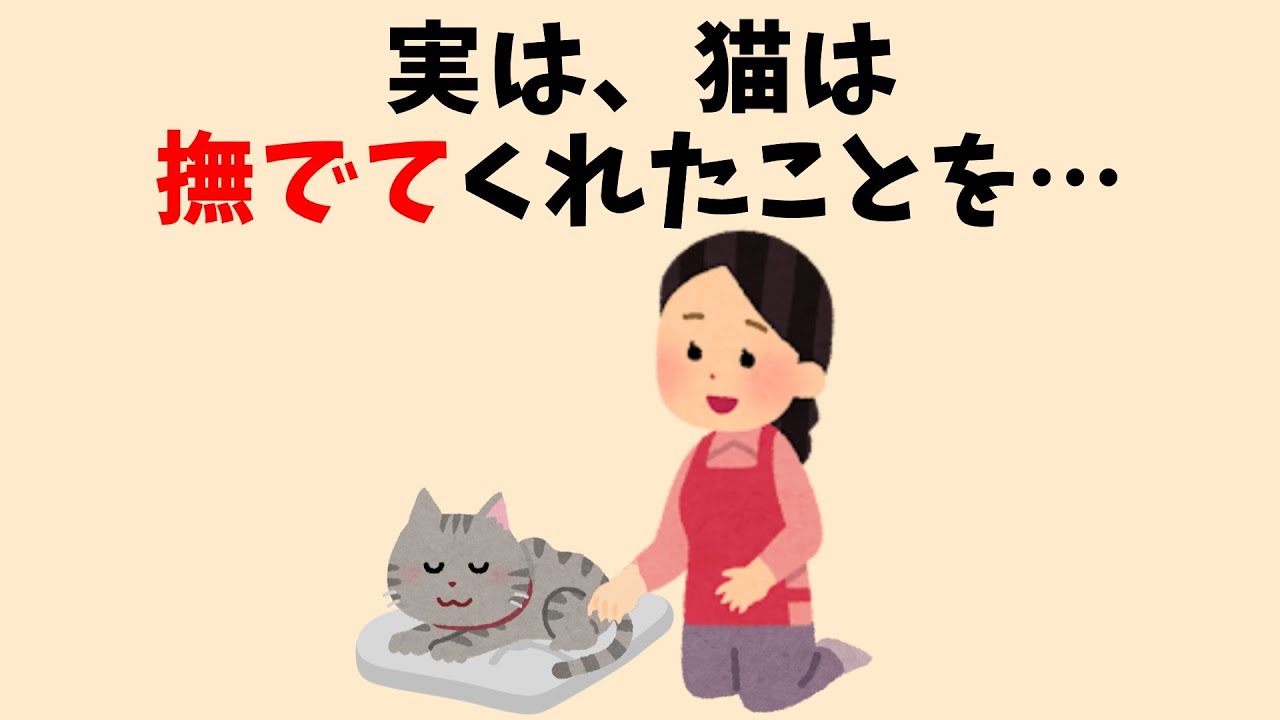 猫のかわいい雑学 #猫 #雑学 #豆知識 #聞き流し #ねこ