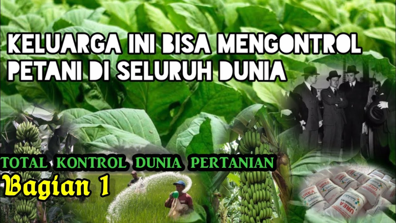 sisi gelap dunia pertanian yang disembunyikan dari anda (total kontrol dunia pertanian; bagian 1)