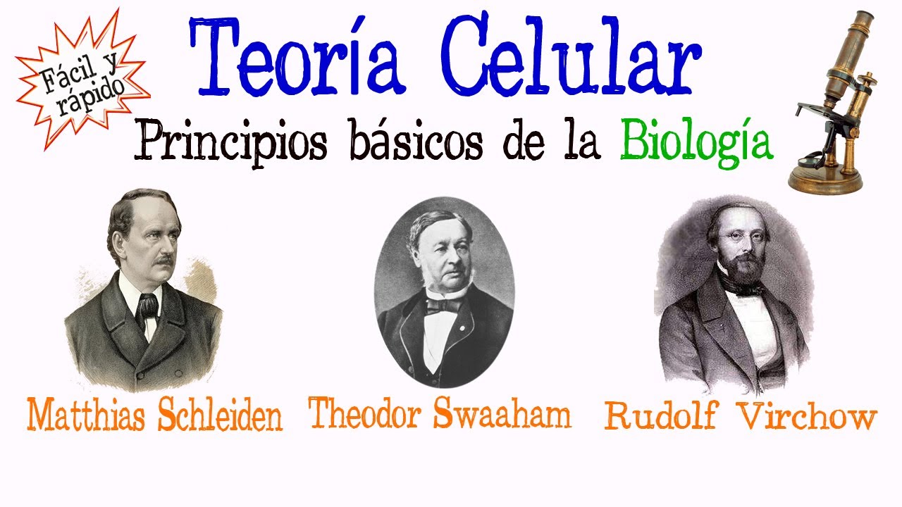 🌐Teor&iacute;a Celular🔬 [F&aacute;cil y R&aacute;pido] | BIOLOG&Iacute;A |