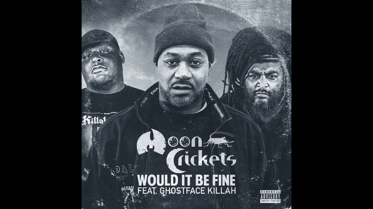 MOON CRICKETS - WOULD IT BE FINE ft. GHOSTFACE KILLAH (prod. by DJ MERCILLESS)