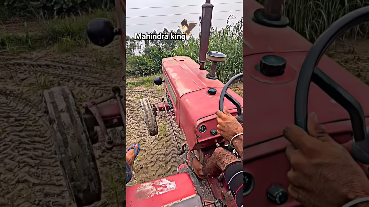Mahindra 265 Top Model In 2025🦅⚠️#viral #mahindra  #tractor  #vehiclereviews