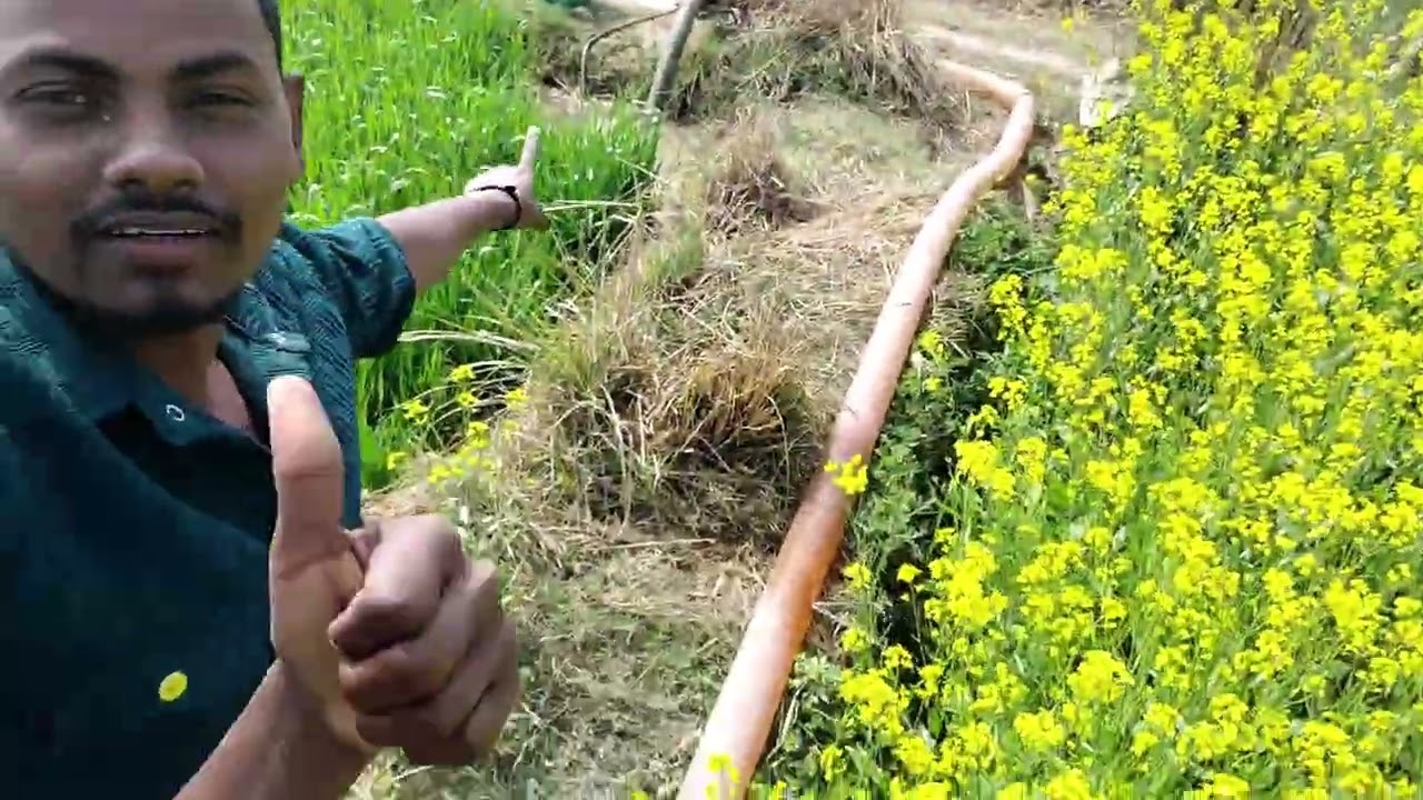 🌾💞 खेत की सिचाई का व्लॉग.... 💞💞