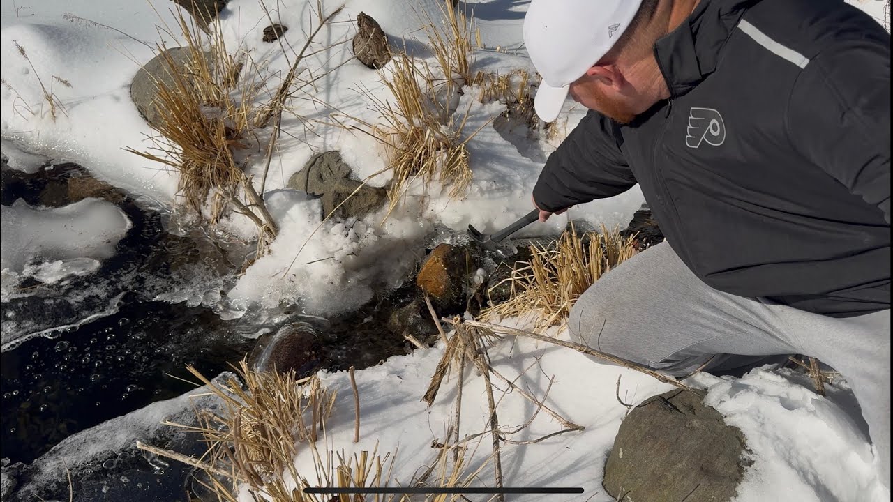 Черепахи против снежной бури!