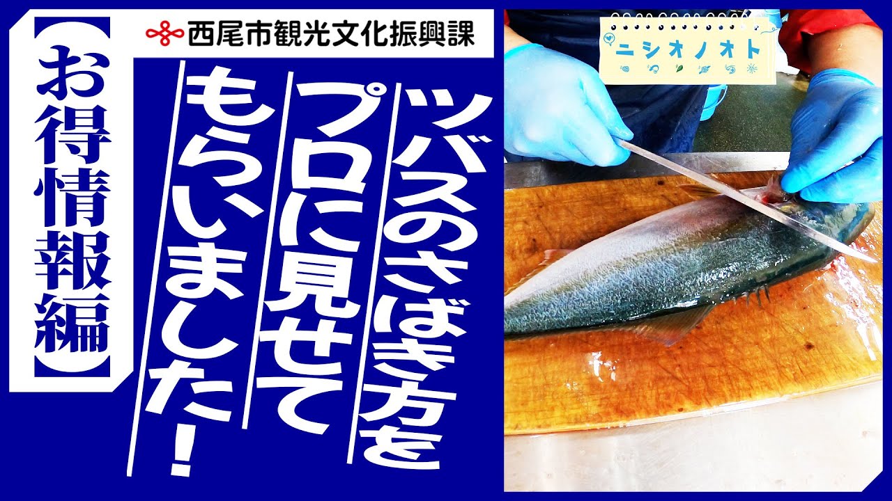 【凄技】ツバスのさばき方をプロに見せてもらいました！（お得情報編）ニシオノオト：西尾市観光文化振興課 職員がまちの魅力をリポート！