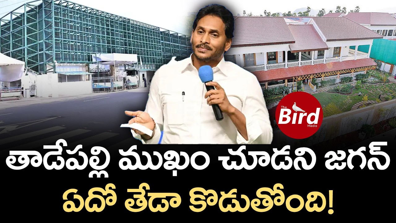 తాడేపల్లి ముఖం చూడని జగన్.. ఏదో తేడా కొడుతోంది! Jagan Away From Tadepalli? | ys jagan | Bird Media