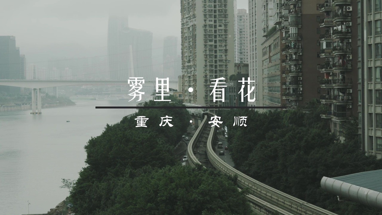 雾里·看花