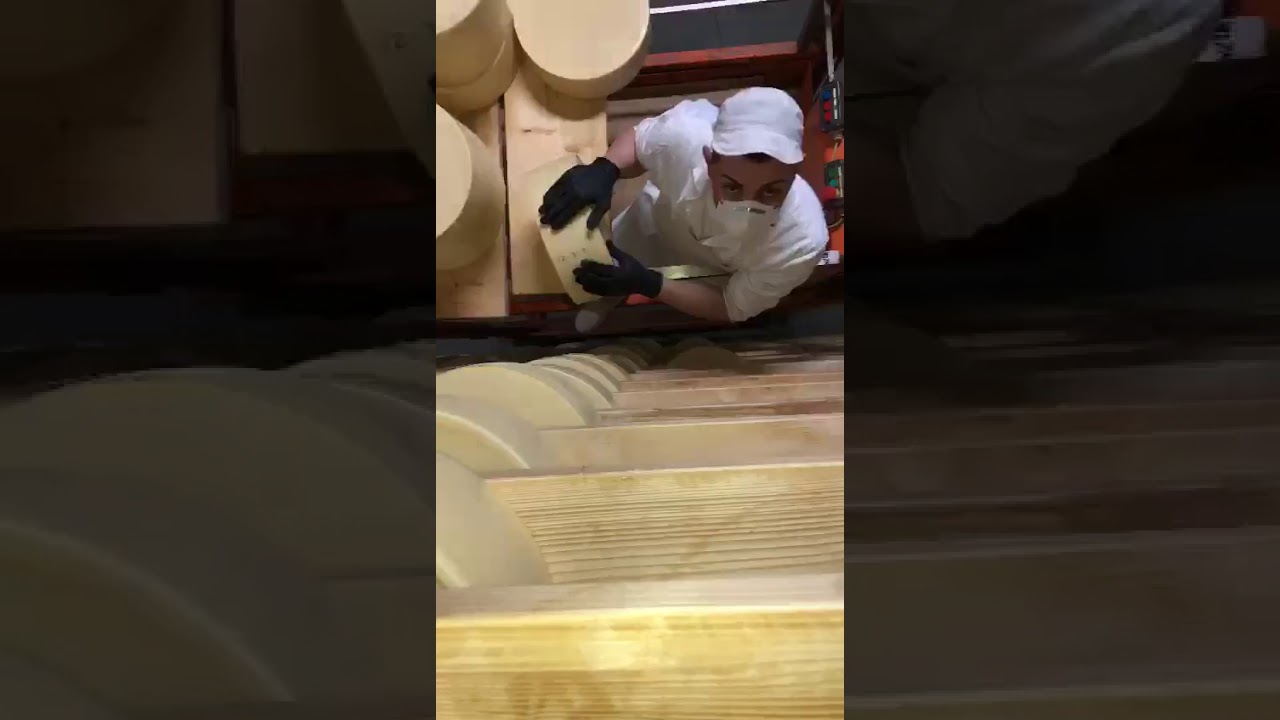 Introducción de Galmesano en el secadero