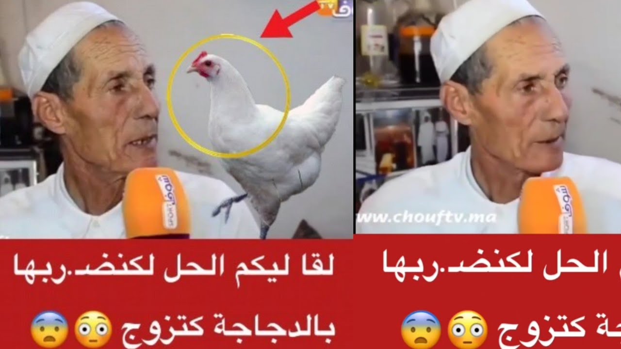لي بغات تزوج 💍تمشي عند هاد السيد يضربها بدجاجة 🐔 باش تزوج 🤣👌