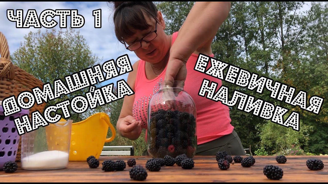 ЯГОДНАЯ НАСТОЙКА. ДОМАШНЯЯ НАЛИВКА. ЕЖЕВИЧНАЯ, ВИШНЕВАЯ, СЛИВОВАЯ И ДР. УНИВЕРСАЛЬНЫЙ РЕЦЕПТ.