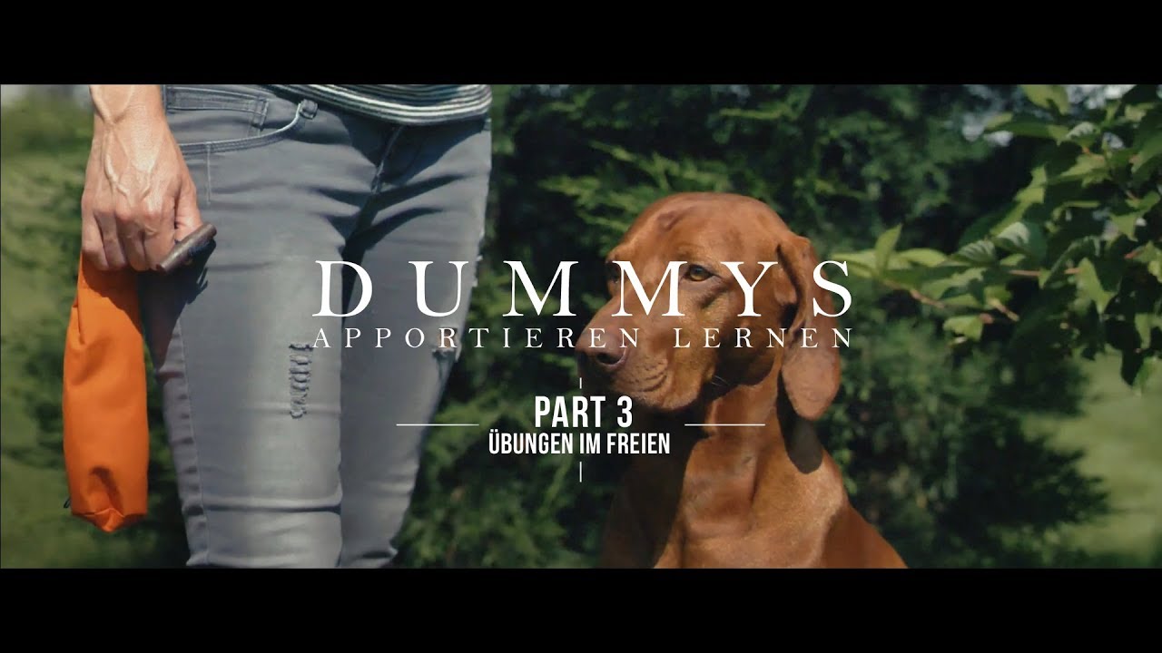 Dummys apportieren lernen - Part 3: Übungen im Freien