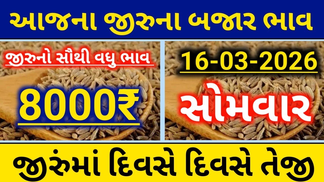 આજના જીરા ના બજાર ભાવ|| જીરાના ભાવ||8000₹||ગુજરાત માર્કેટ યાર્ડ ભાવ||જીરાના ભાવમાં દિવસે દિવસે તેજી