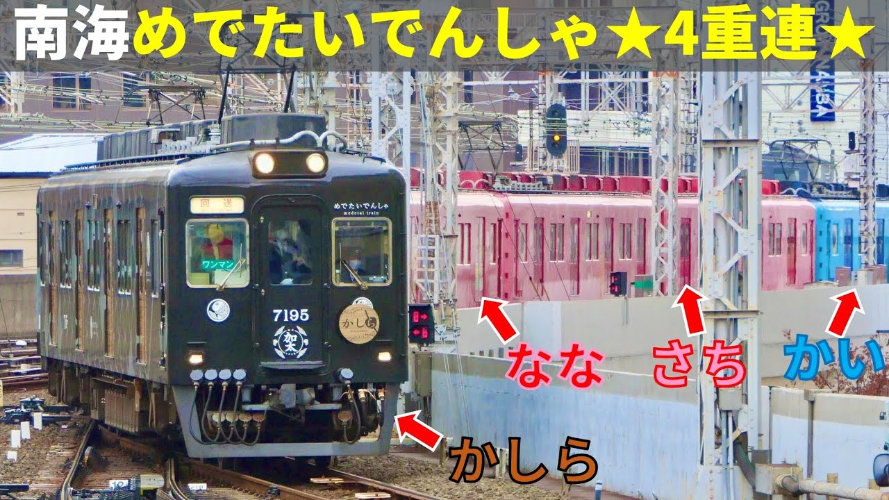 南海めでたいでんしゃ 夢の4編成連結！難波駅お披露目会(2021/12/25)