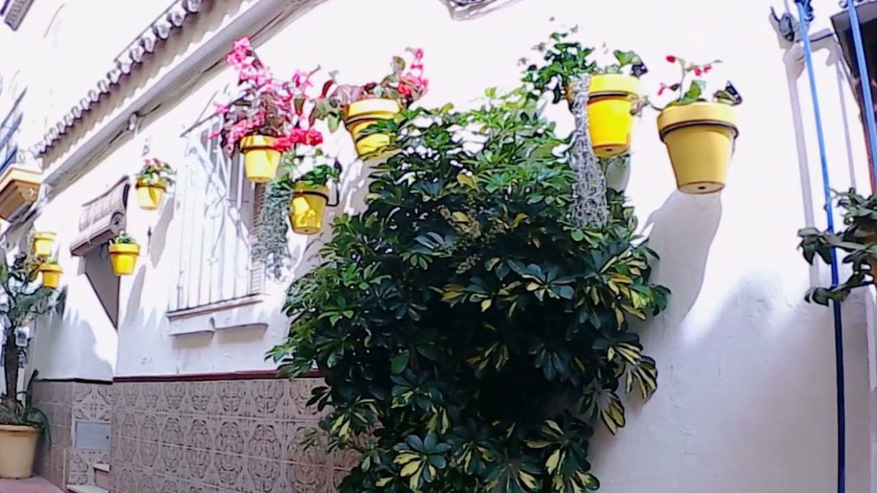 Tour virtual en Estepona. Qué ver, visitar y hacer en el pueblo costero de Estepona.
