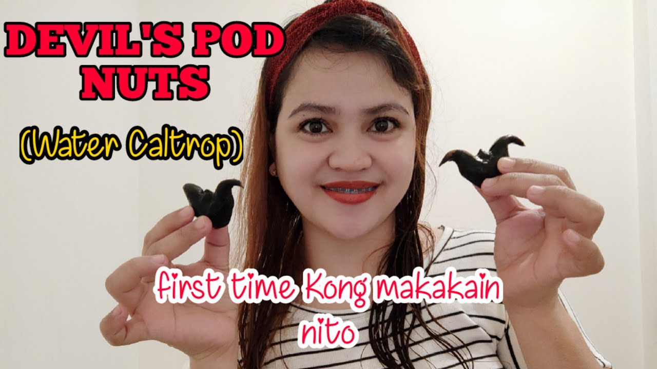 Devil's Pod Nuts (Water caltrops)#food #ofw