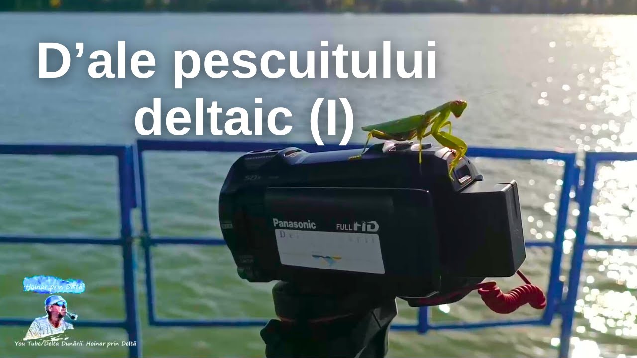 D'ale pescuitului deltaic (I)