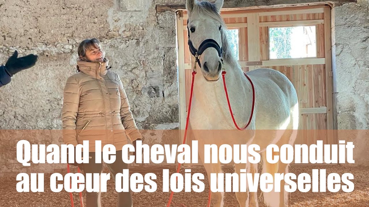 Le cheval, grand guérisseur du XXIème siècle