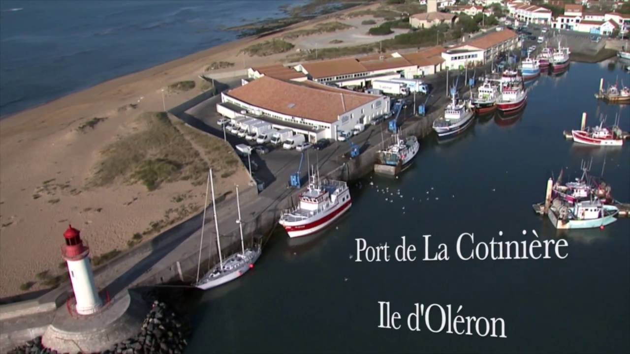Préparation La Cotinière débarque à Bordeaux - Thierry RICHARD