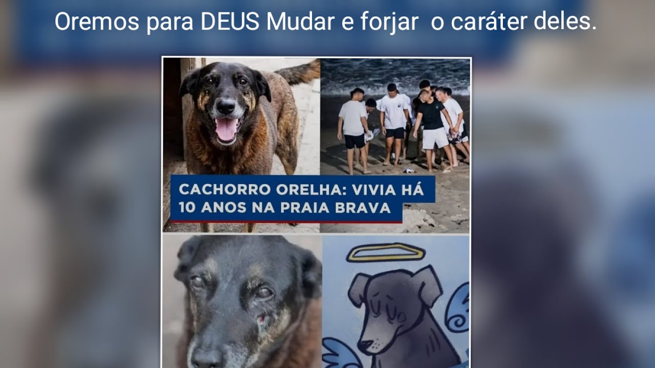 SEU Dinheiro NÃO Compra VIDAS  nem Caráter!!