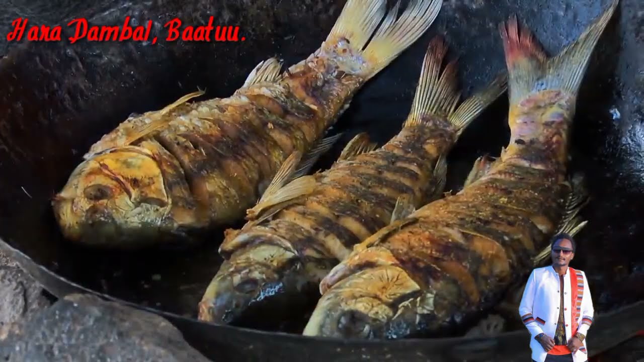 Lake Dambal, Batu || Hara Dambal, Baatuu.