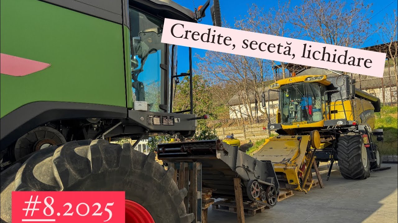 #dailyvlog SE USUCĂ GRÂUL 😕