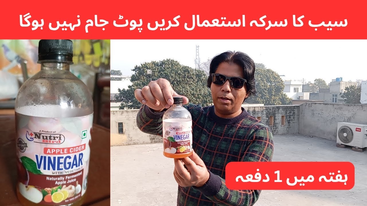 Apple Vinegar | Pot Jam Nhy Hoga | For All Birds | 