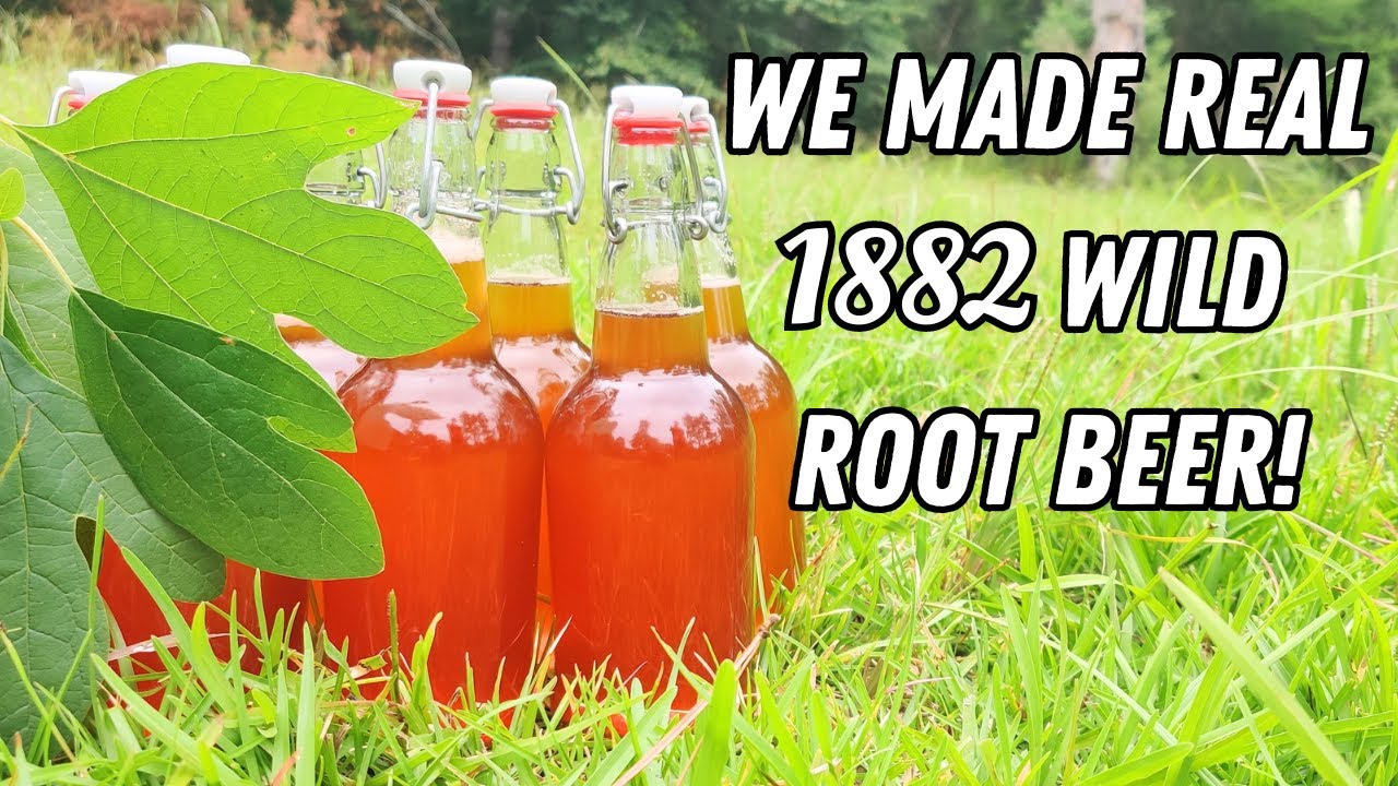 Early American Root Beer From Scratch (Naturally Carbonated!)